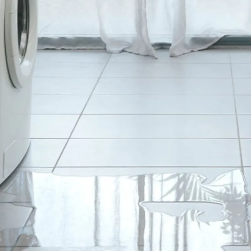 Appliance Leak Cleanup in South Amherst, OH