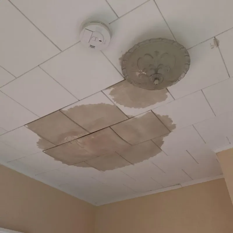Ceiling Water Damage Repair in South Amherst, OH