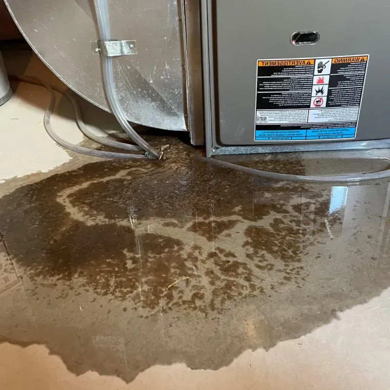Pipe Burst and Leak Restoration in South Amherst, OH