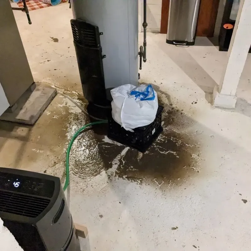 Sewage Backup Cleanup Service in South Amherst, OH